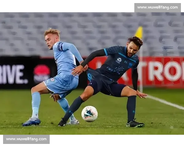 澳超中游生死局：麦克阿瑟主场抗阿德莱德联，疲劳阵对决青春风暴